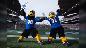 Boomer (left) and Buzz (right) are seen at a Winnipeg Blue Bombers game in 2016. (Source: Winnipeg Blue Bombers/Twitter)