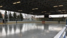 Ice rink at Lanspeary Park in Windsor, Ont. reopened Wednesday, Feb. 17, 2021. (Angelo Aversa/CTV Windsor)