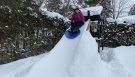 Barb Wiens sliding down a luge built in her backyard as part of the Winterlude re-creation. Ottawa, On., Feb. 19, 2020. (Tyler Fleming / CTV News Ottawa)
