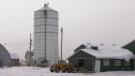 University of Guelph researcher Sara Epp collected data from farmers in the Hearst area about the challenges of operating in the region — and from southern producers about what deters them from operating here. Feb. 19/21 (Sergio Arangio/CTV News Northern Ontario)