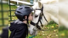 A child interacts with a horse at the SARI Therapeutic Riding camp. (Source: SARI)