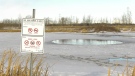 For the fourth time this month rescue crews attended Hermitage Park after a dog fell through the ice. (CTV News Edmonton)