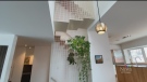 A look inside a Hintonburg home that uses almost no energy. (Tyler Fleming/CTV News Ottawa)