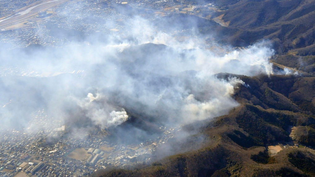 Japan forest fire