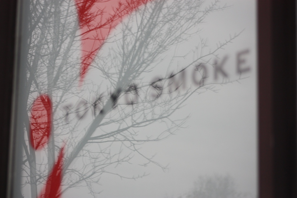 Window of Tokyo Smoke cannabis store on Danforth