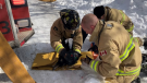 Ottawa fire provides care to a dog rescued from a fire at a home on Lepage Avenue. (Photo courtesy: Ottawa Fire Service)