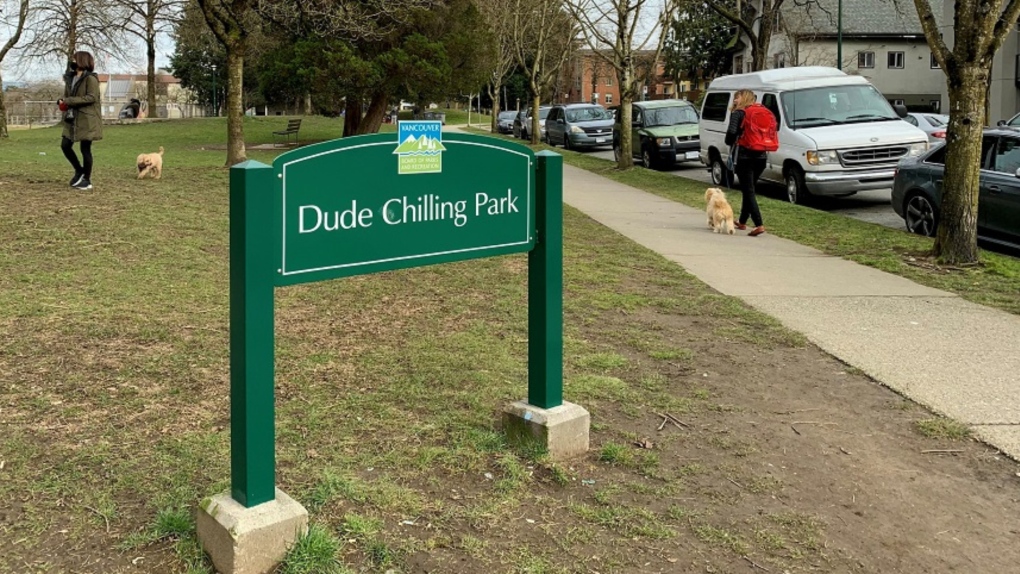 Dude Chilling Park 