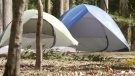 Alberta Parks is warning anyone trying to make a quick buck off of their camping reservations due to a hot market for the summer spaces.