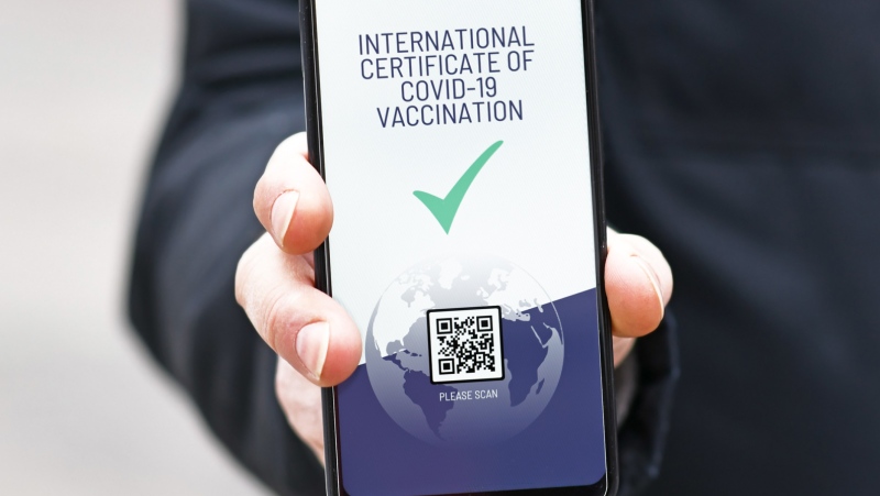 With COVID-19 vaccines rolling out, countries are looking into the idea of vaccination passports, but experts fear it could cause inequities. 