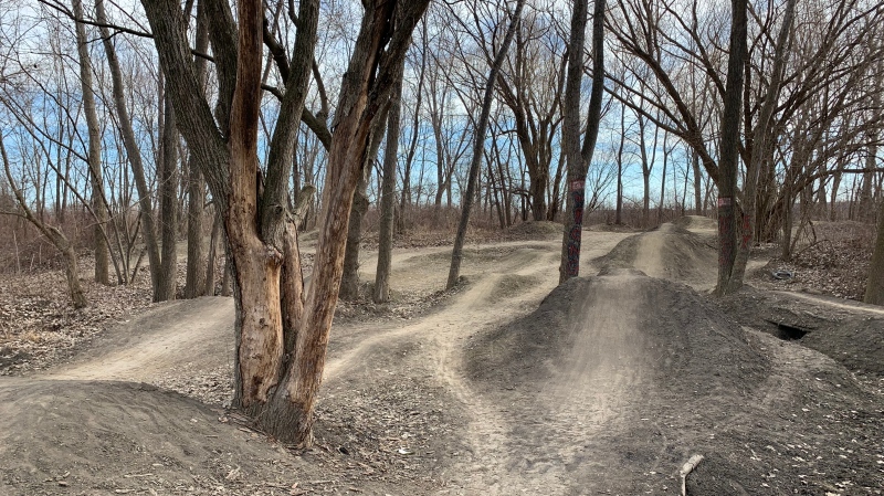 An online petition was formed asking residents to help save the dirt bike jumps set up in Little River Corridor Park in Windsor, Ont. on Monday, March 15, 2021. (Chris Campbell/CTV Windsor)