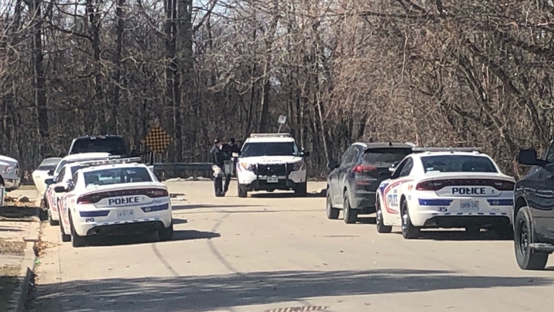 Police work at the scene where an alleged impaired driver was arrested on Tecumseh Avenue West in London, Ont. on Sunday, March 14, 2021. (Jordyn Read / CTV News)