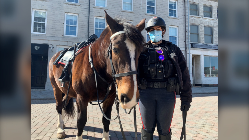 Kingston Police Force's Mounted Unit