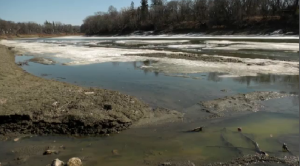 Assiniboine River, March 20 (Mason Depatie, CTV News)