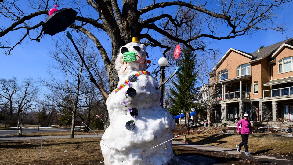 Melting snowman in Ottawa, sunny day