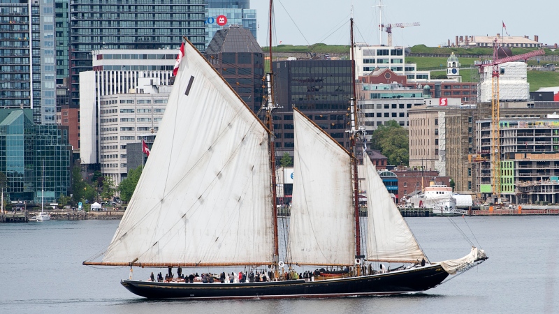 The schooner Bluenose II, Nova Scotia's sailing ambassador, cruises the harbour in Halifax on Thursday, June 13, 2019. THE CANADIAN PRESS/Andrew Vaughan