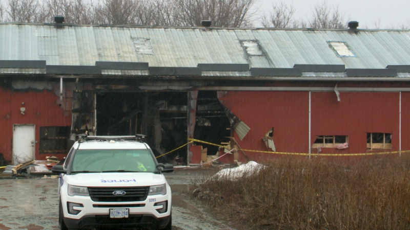 Ottawa police are dismantling an indoor cannabis grow operation that was discovered after a fire in a barn near Blackburn Hamlet on Tuesday, March 23, 2021.
