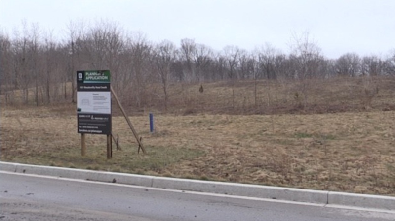 The proposed location of a new development across from the Meadowlily Woods Environmentally Significant Area in London, Ont. is seen Friday, March 26, 2021. (Daryl Newcombe / CTV News)