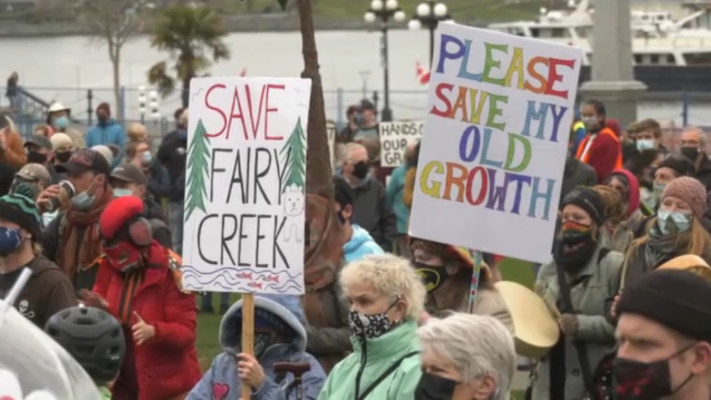 Old-growth protest