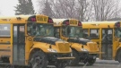 N.S. man pleads drivers not to pass school buses