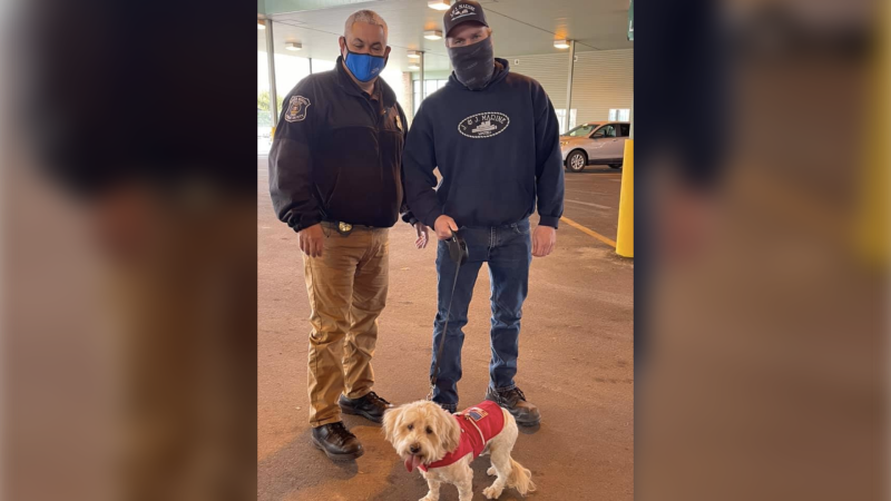 River Rouge Mich., public safety director and fire chief Roberto Cruz reunited dog 'Miracle' with Jude Mead in LaSalle, Ont. on Friday, Mar. 26, 2021. (source Friends of the River Rouge Animal Shelter/Facebook)