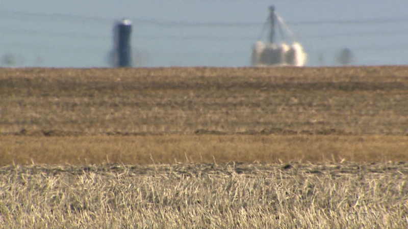 Fields in Manitoba are dark and dry – an unusual sight given the season. (Source: CTV News)