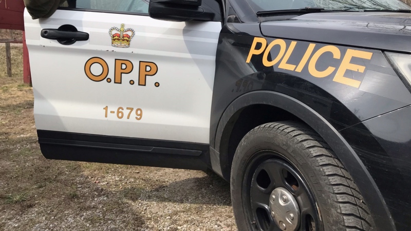 The Ontario Provincial Police search for a missing Kitchener area man in Tiny Township, Ont. on Tues. April 6, 2021 (Rob Cooper/CTV News)