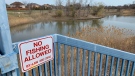 No fishing sign at Blue Heron Pond in Windsor, Ont. on Tuesday, April 6, 2021. (Chris Campbell/CTV Windsor)