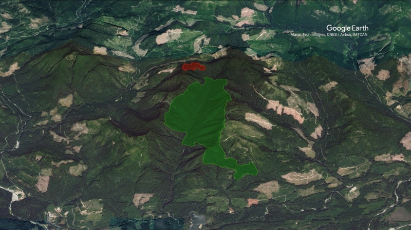Areas where Teal-Jones plans to log in Fairy Creek are shown in red. Areas that are protected are shown in green. CTV News has confirmed with the Ministry of Forests that it is consistent with the government's sources for protected areas: (Teal-Jones)