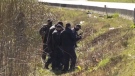 Police are seen searching an area off Nanaimo Parkway: April 8, 2021 (CTV News)