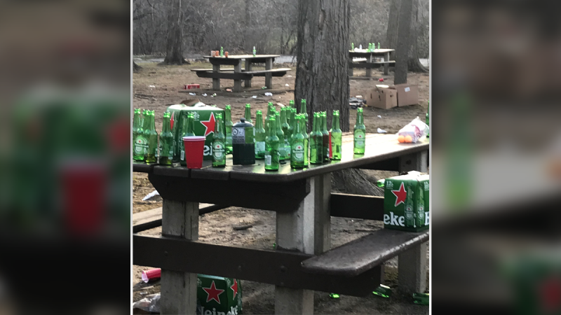 A photo shared on social media showing beer bottles left behind on picnic tables at Vincent Massey Park, April 11, 2021. (Source: @arnica246 / Twitter)
