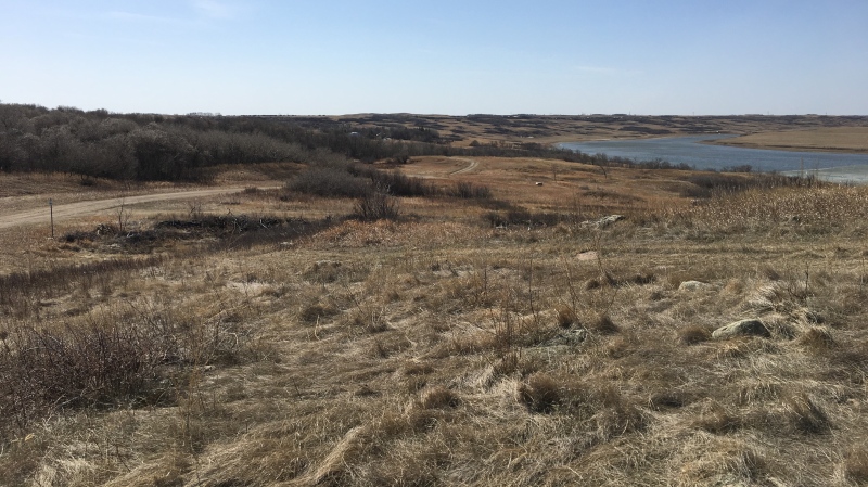 Kinookimaw, approximately 1,100 acres of land located West of Regina Beach, is pictured. (Taylor Rattray / CTV News Regina)  