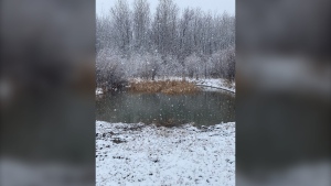 Spring snow at a pond south of Tolstoi. (Source: Lillian Fisher )