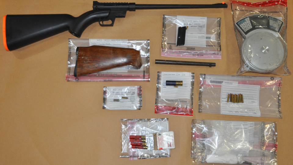 Gun and ammo seized