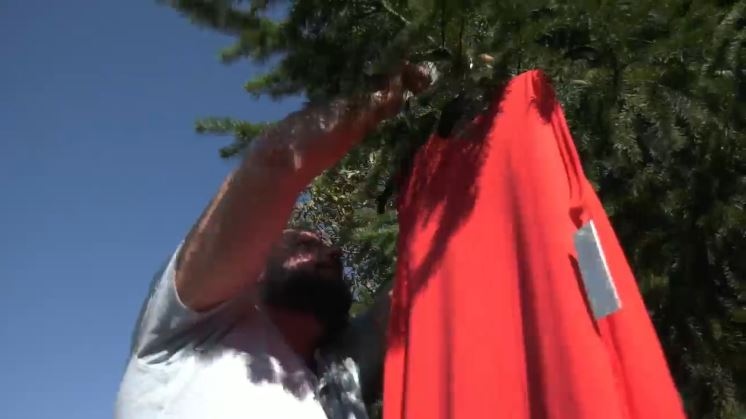 Vancouver Islanders will be rehanging red dresses along Highway 1 in recognition of missing murdered Indigenous women and girls: (CTV News)