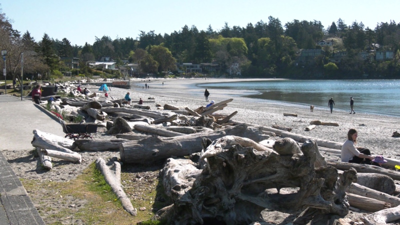 A view from Cadboro Bay in Saanich, B.C., on April 16, 2021 (CTV News)
