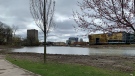 Silver Lake in Waterloo Park (Stephanie Villella / CTV News Kitchener)