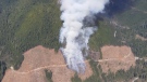 Six firefighters and two helicopters have been attacking the flames near Gold River, B.C. since early Tuesday morning. (Coastal Fire Centre)