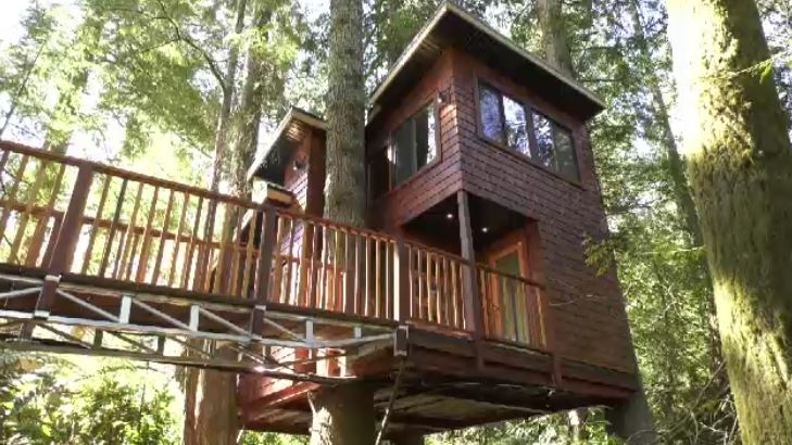 The treehouse opened to guests on April 1, 2021: (CTV News)