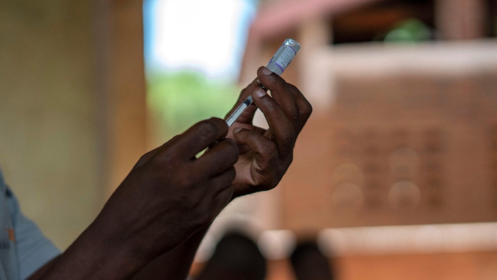 Preparing a malaria vaccine