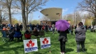 About 300 people attended a rally protesting current provincial lockdown measures in Chatham, Ont. on Monday, April 26, 2021. (Chris Campbell/CTV Windsor)
