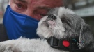 Calvin Maynard reunited with his beloved dog Max. (Joel Haslam / CTV News Ottawa) 