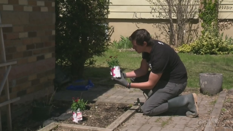 Outdoor gardening with Pure Country's Josh