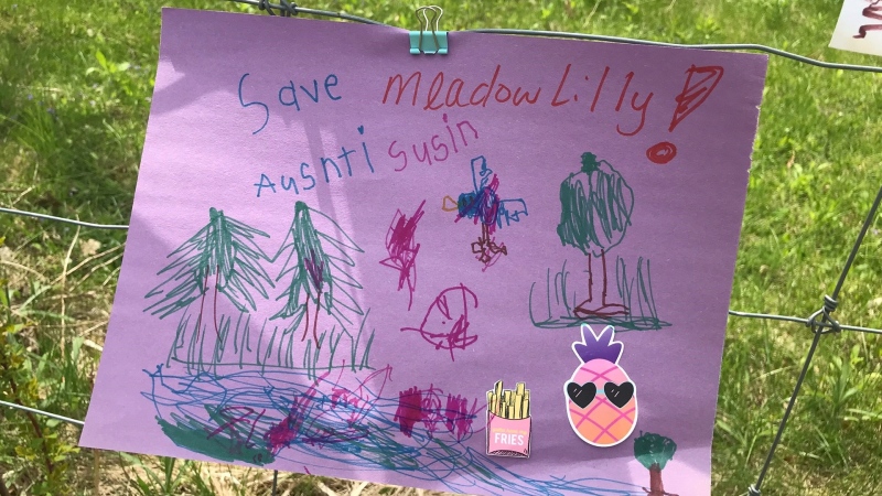 Artwork to help save Meadowlily (Sean Irvine / CTV News)