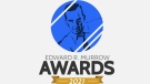 Radio Television Digital News Association (RTDNA) Edward R. Murrow Award logo. (Courtesy RTDNA)
