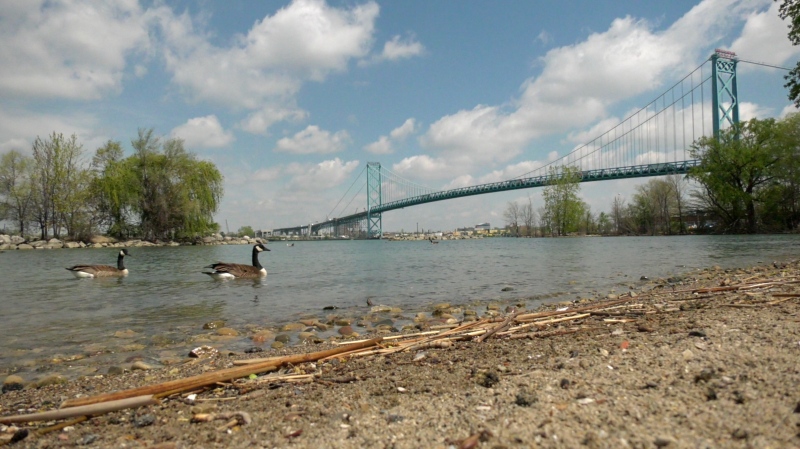 The Ambassador Bridge from the banks of the Detroit River at Chewitt Park in Windsor, Ont. on May 7, 2021. (Rich Garton/CTV Windsor)