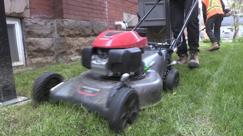 A lawn mower being pushed by one of the crew of Great Canadian Landscape in London, Ont. on May 11, 2021. (Bryan Bicknell/CTV London)