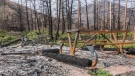 Damage to the Crandell Lake Campround from the 2017 Kenow wildfire. (Parks Canada)