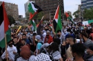 Pro-Palestinians gather to mark Nakba Day (Courtesy: Windsor Palestinian Solidarity Group) 