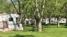 Seasonal trailers at Fanshawe Conservation Area in London are seen on Tuesday, May 18, 2021. (Sean Irvine CTV News)