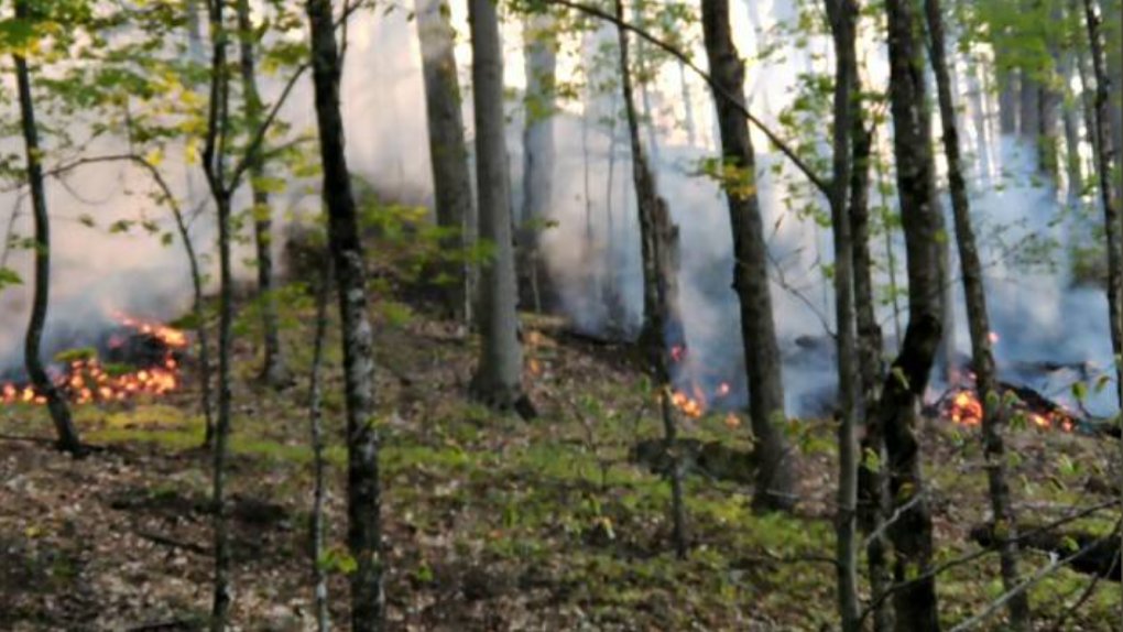 Brush fire in Huntsville/ Lake of Bays